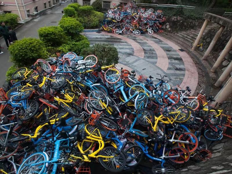 共享单车地下江湖：投资50万月入600万，机会还是骗局？